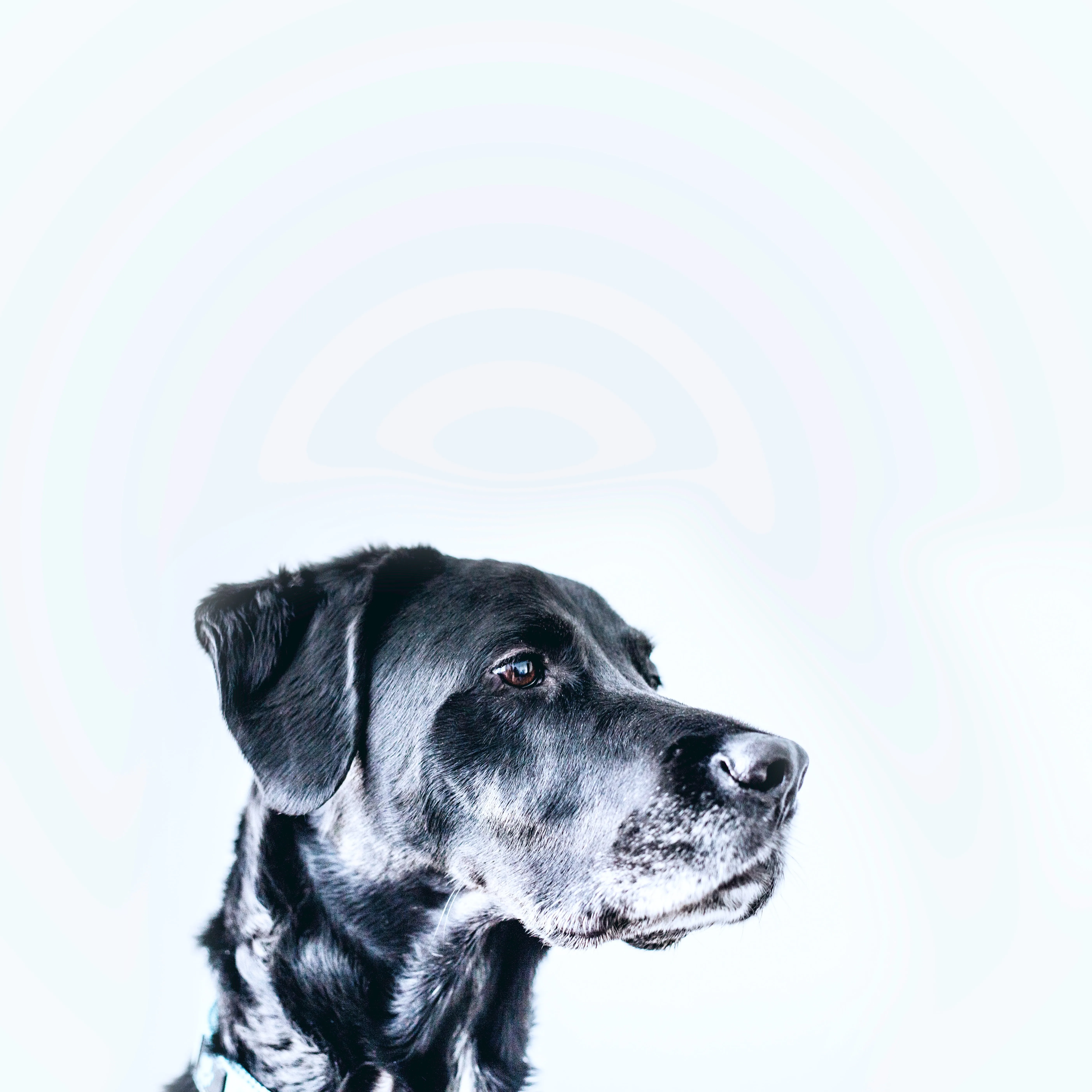 Photo from Unsplash by